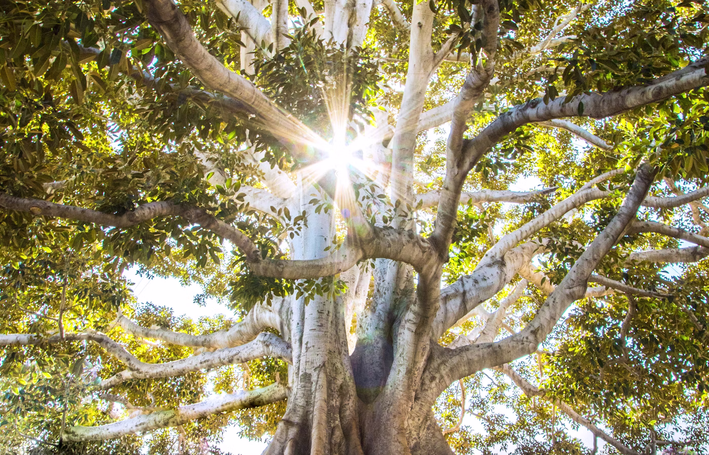 Эмоциональный баланс для предпринимателя